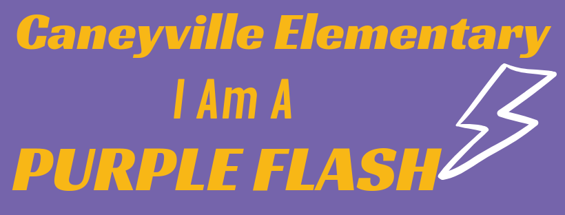 I Am A Purple Flash
