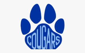 2020 Fall Sports Plan