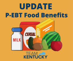P-EBT Benefit Returns