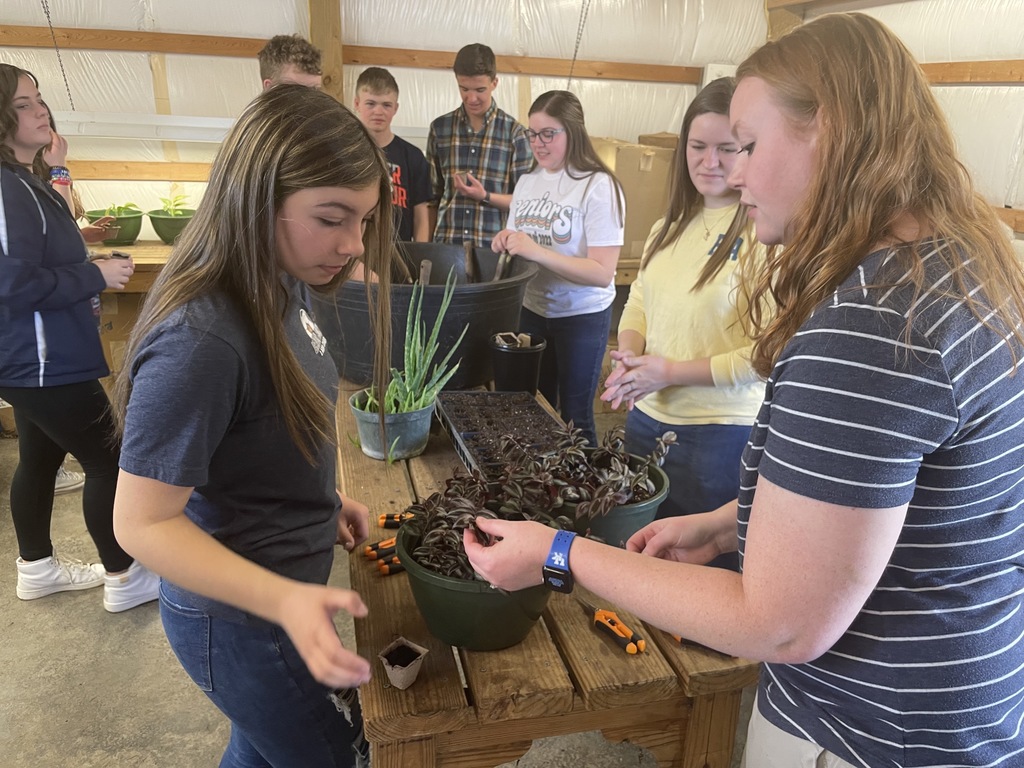 Teacher talking to student showing a plant