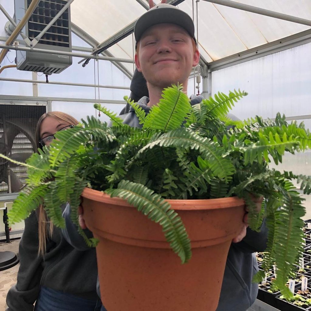 boy in cap holding fern